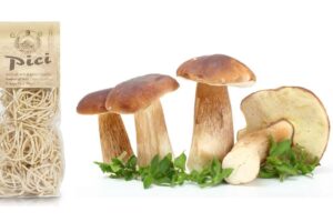 An Introduction to Porcini and Pici