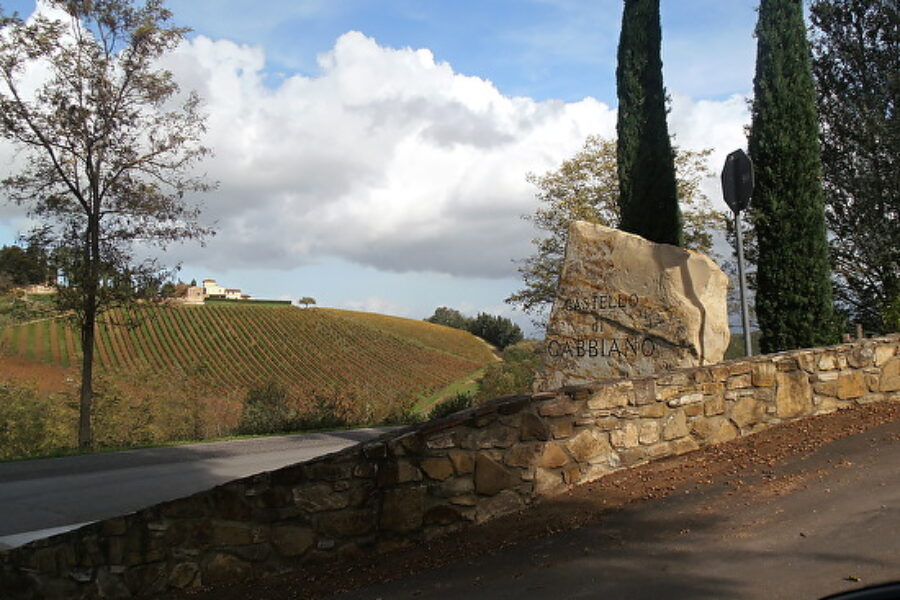 Lucca to Villa Vignamaggio in Chianti