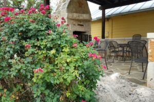 Comfort – Picnic at Bending Branch Winery
