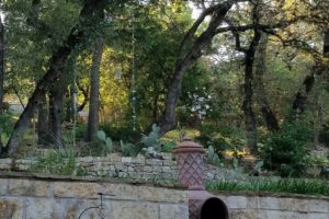 Texas Hill country backyard