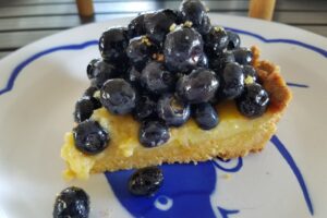 Picnic – Grilled Shrimp with Two Sauces – Egg Salad Sandwiches with Smoked Salmon – Blueberry Citrus Tart