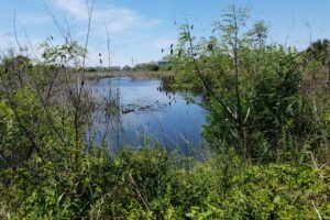 Lafitte's Cove Nature Preserve