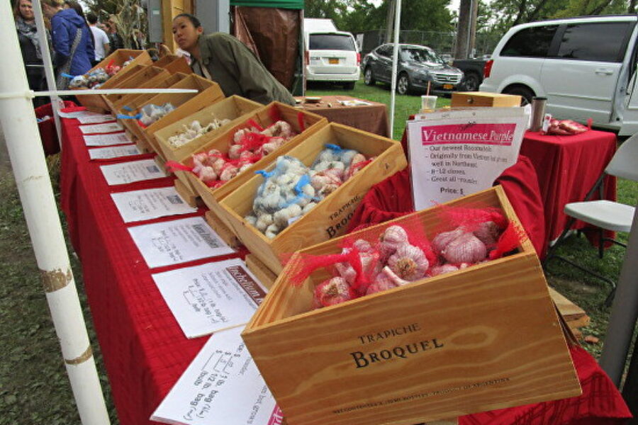 Hudson River Valley Garlic Festival