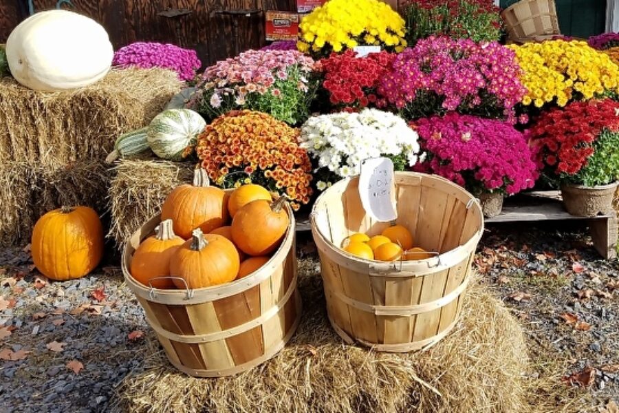 The Catskill Mountain Country Store