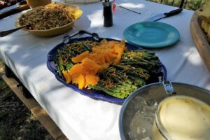 Picnics – A Hill Country Picnic