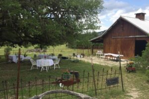 A Texas Hill Country Picnic