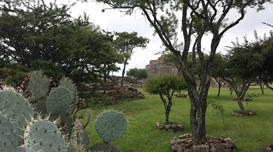 Cañada de la Virgen 