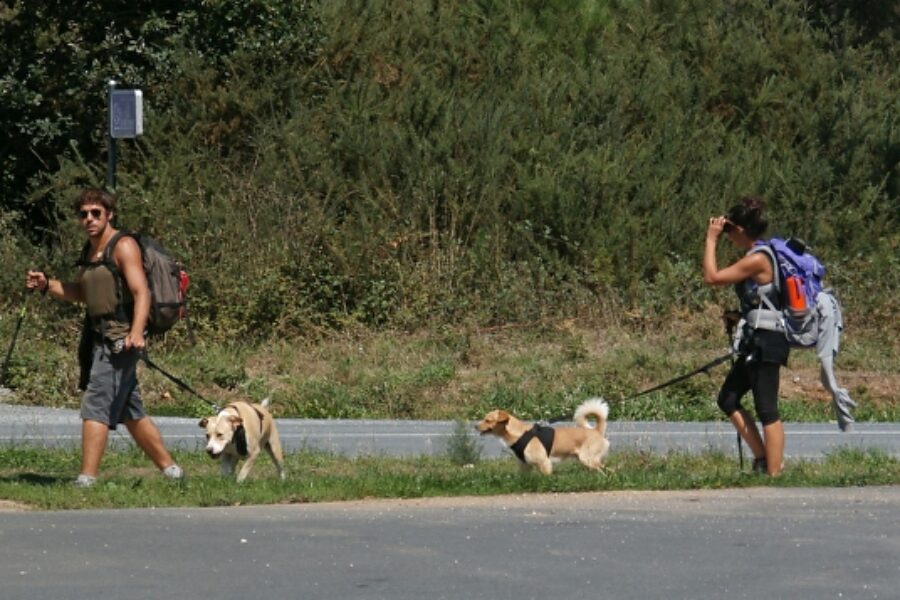 Spain – Pilgrims on the Camino Santiago