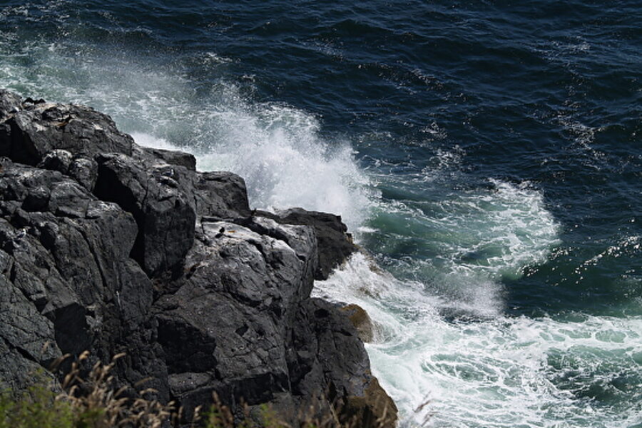 Monhegan – The Trail to Burnt Head