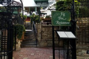 San Antonio – The Fig Tree Restaurant