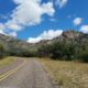 The Davis Mountains