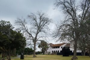 San Antonio – McNay Art Museum