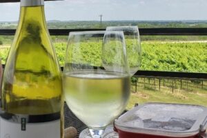 Picnic – Three Wineries in May!