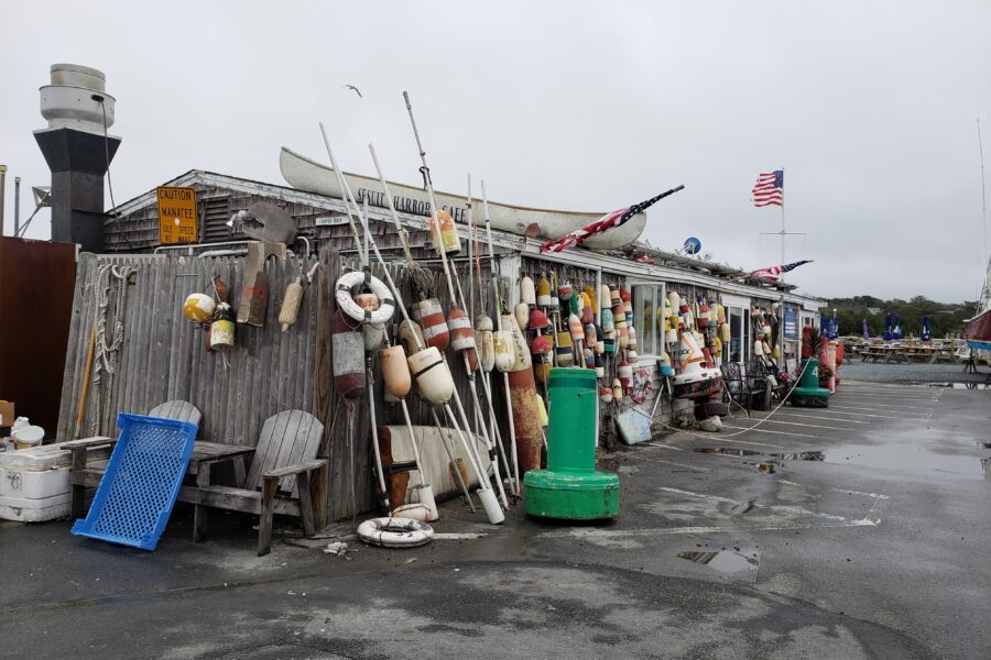 A Cold Day on Cape Cod