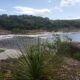 Pedernales Falls State Park