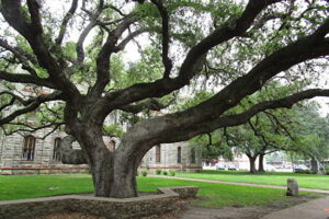 Goliad