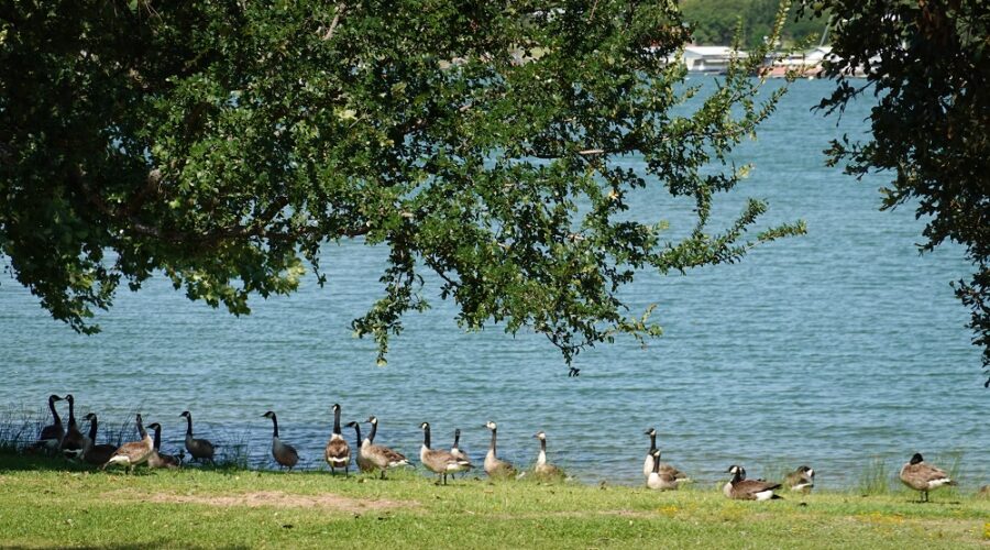 Inks Lake State Park