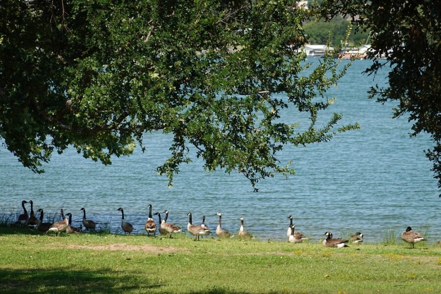 Inks Lake State Park