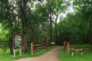 Palmetto State Park