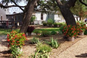 A Picnic at William Chris Vineyards