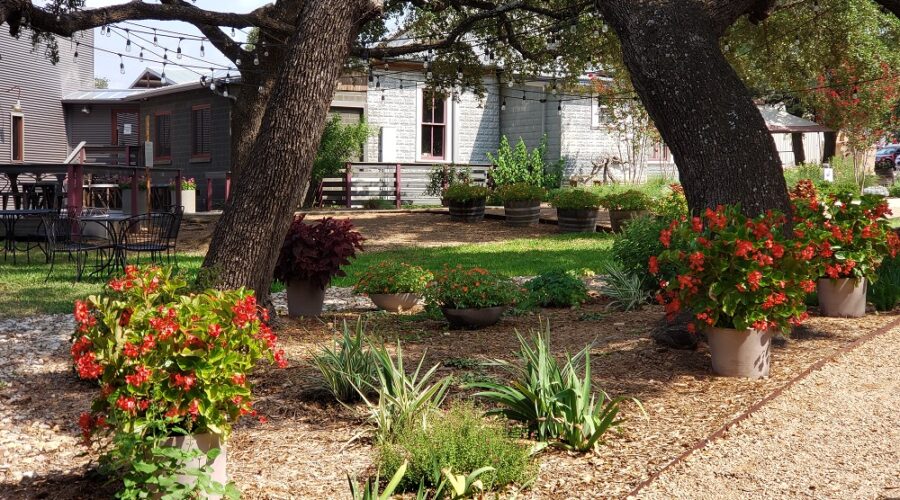 A Picnic at William Chris Vineyards