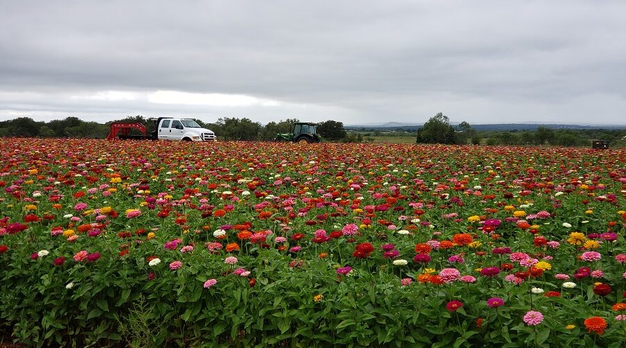 Becker Vineyards Wine Tasting