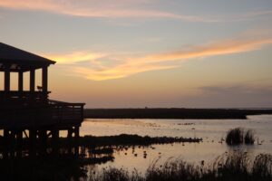 Port Aransas Nature Preserve