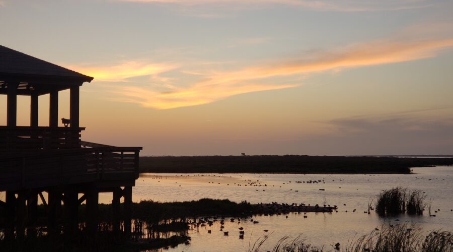 Port Aransas Nature Preserve