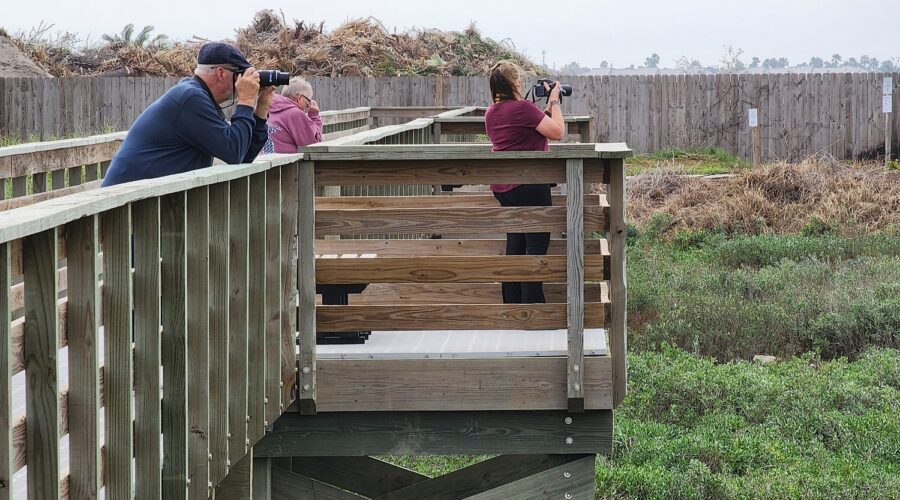Leonabelle Turnbull Birding Center