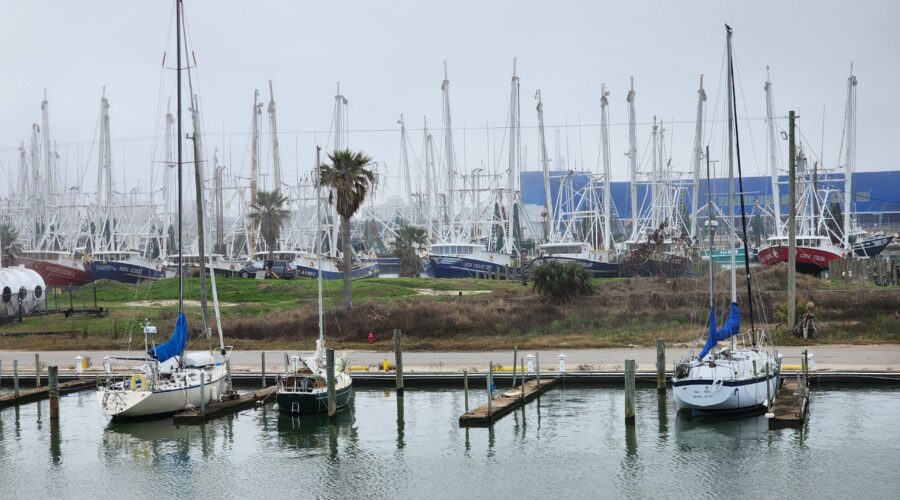 View from our table at the Marina Bar & Grill, Galveston, Texas.