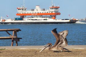 A Picnic at Seawolf Park