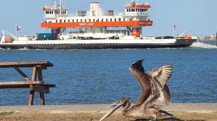 A Picnic at Seawolf Park