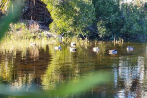 Lafitte's Cove Nature Center