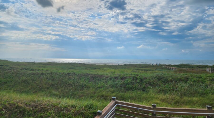 View from the Boardwalk at Palisades Palms in Galveston.