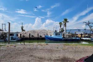 A mountain of oyster shells (one of many) in San Leon.