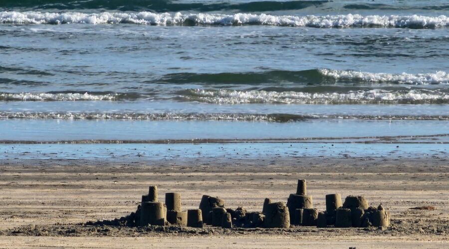 A Picnic at Galveston Island State Park